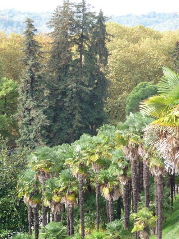 Le Postillon 2* Pau